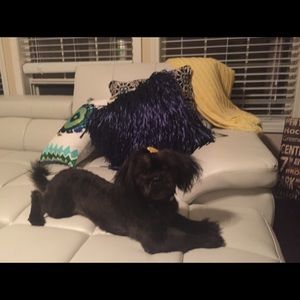 Meet your Posher, Jenna